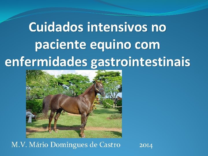 Cuidados intensivos no paciente equino com enfermidades gastrointestinais M. V. Mário Domingues de Castro