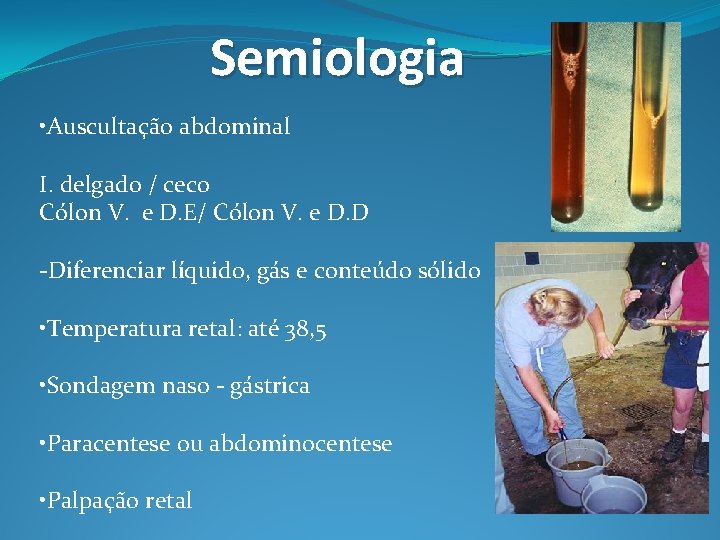 Semiologia • Auscultação abdominal I. delgado / ceco Cólon V. e D. E/ Cólon