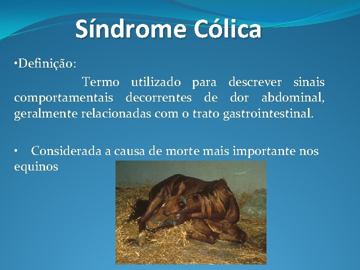 Síndrome Cólica • Definição: Termo utilizado para descrever sinais comportamentais decorrentes de dor abdominal,