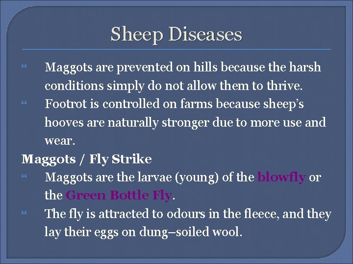 Sheep Diseases Maggots are prevented on hills because the harsh conditions simply do not