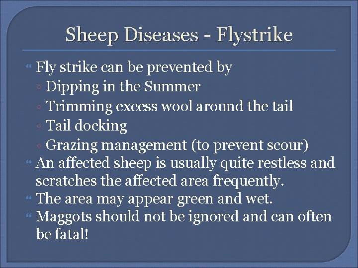 Sheep Diseases - Flystrike Fly strike can be prevented by ◦ Dipping in the