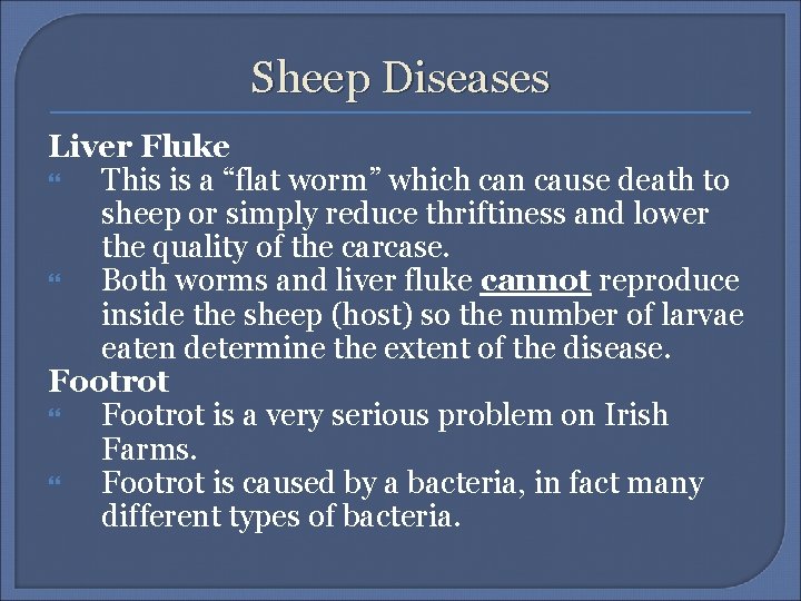 Sheep Diseases Liver Fluke This is a “flat worm” which can cause death to