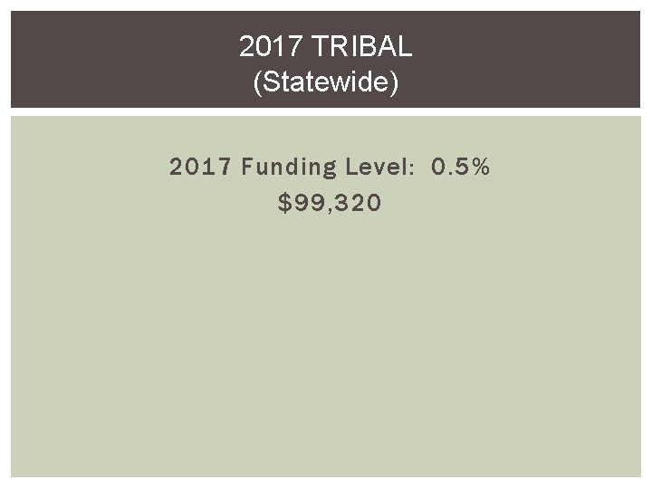 2017 TRIBAL (Statewide) 2017 Funding Level: 0. 5% $99, 320 