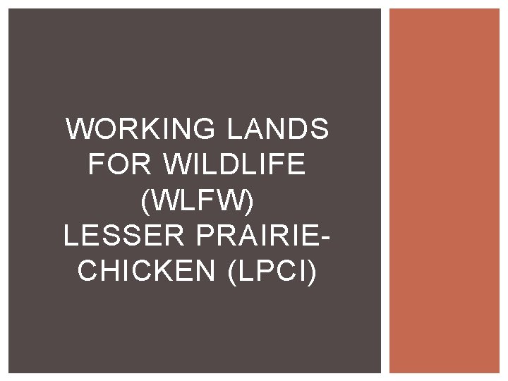 WORKING LANDS FOR WILDLIFE (WLFW) LESSER PRAIRIECHICKEN (LPCI) 