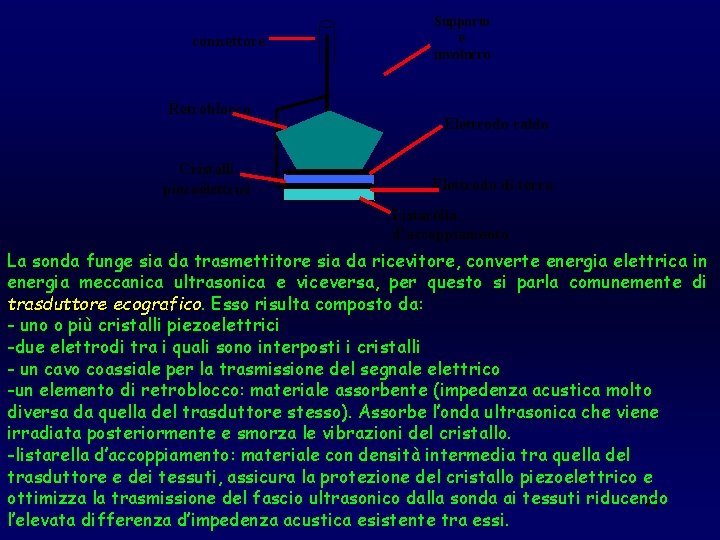 connettore Retroblocco Cristalli piezoelettrici Supporto e involucro Elettrodo caldo Elettrodo di terra Listarella d’accoppiamento