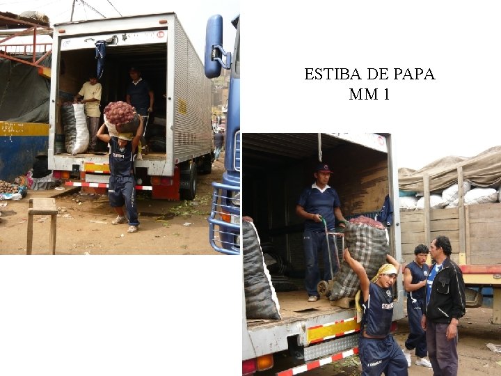 ESTIBA DE PAPA MM 1 