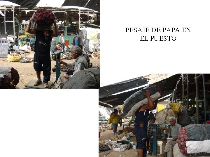 PESAJE DE PAPA EN EL PUESTO 
