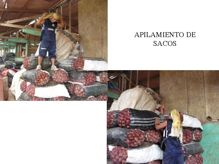 APILAMIENTO DE SACOS 
