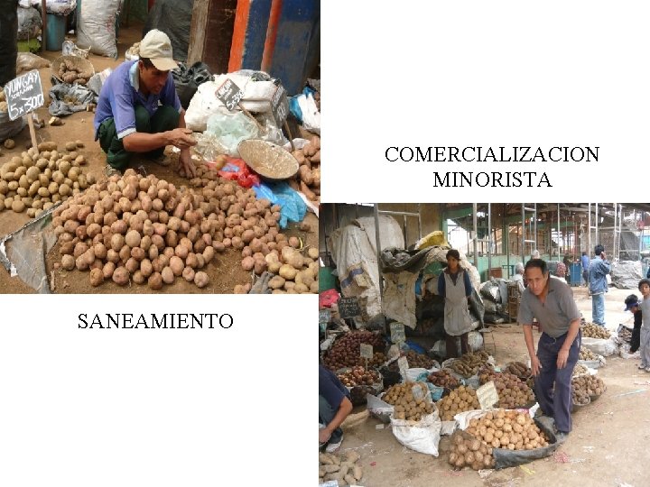 COMERCIALIZACION MINORISTA SANEAMIENTO 