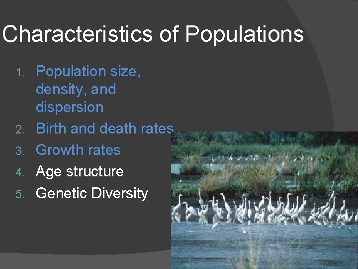 Characteristics of Populations 1. 2. 3. 4. 5. Population size, density, and dispersion Birth