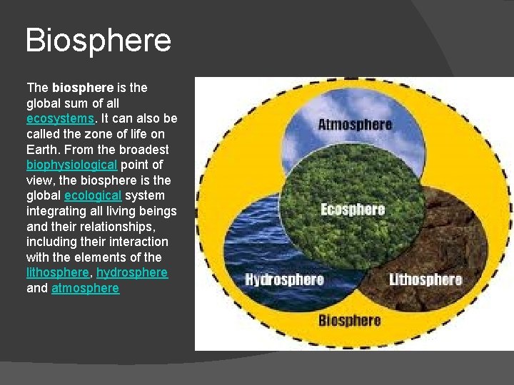 Biosphere The biosphere is the global sum of all ecosystems. It can also be