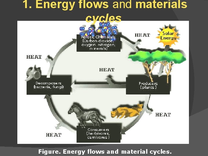 1. Energy flows and materials cycles Figure. Energy flows and material cycles. 