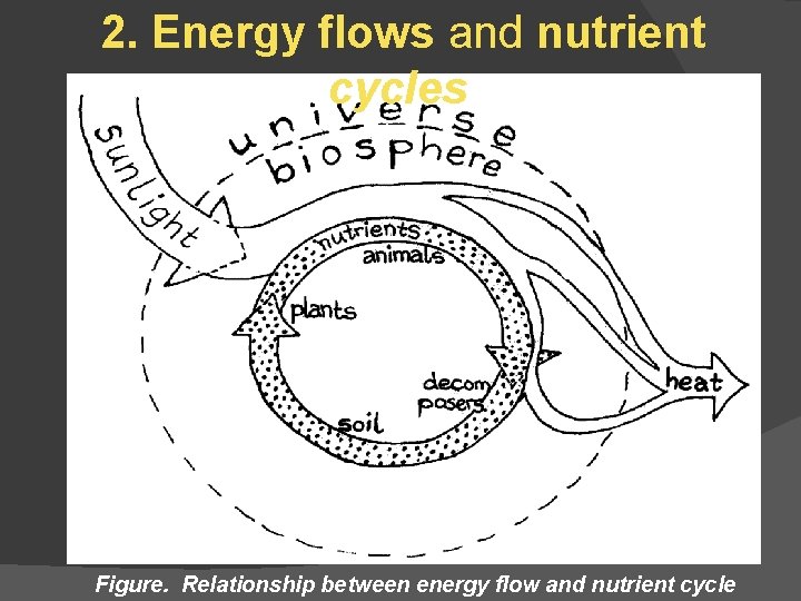 2. Energy flows and nutrient cycles Figure. Relationship between energy flow and nutrient cycle