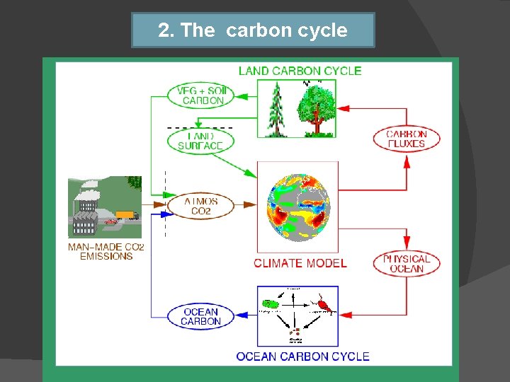 2. The carbon cycle 