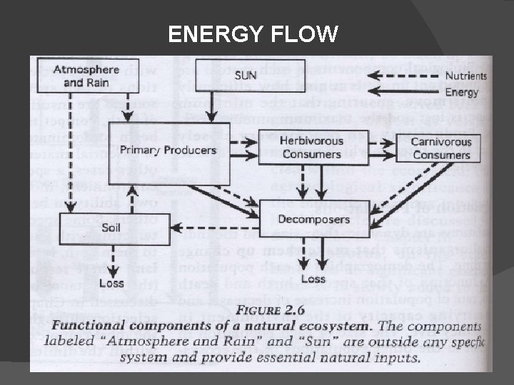 ENERGY FLOW 