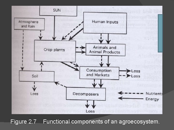 Figure 2. 7 Functional components of an agroecosystem. 