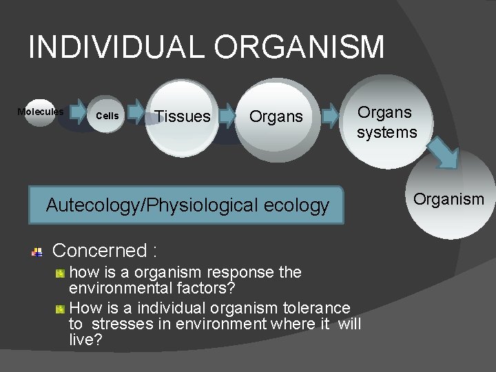 INDIVIDUAL ORGANISM Molecules Cells Tissues Organs systems Autecology/Physiological ecology Concerned : how is a