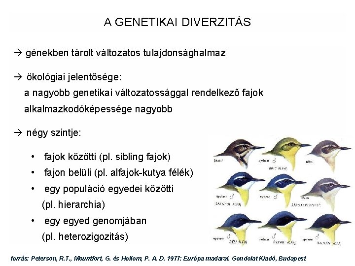 A GENETIKAI DIVERZITÁS génekben tárolt változatos tulajdonsághalmaz ökológiai jelentősége: a nagyobb genetikai változatossággal rendelkező A GENETIKAI DIVERZITÁS génekben tárolt változatos tulajdonsághalmaz ökológiai jelentősége: a nagyobb genetikai változatossággal rendelkező