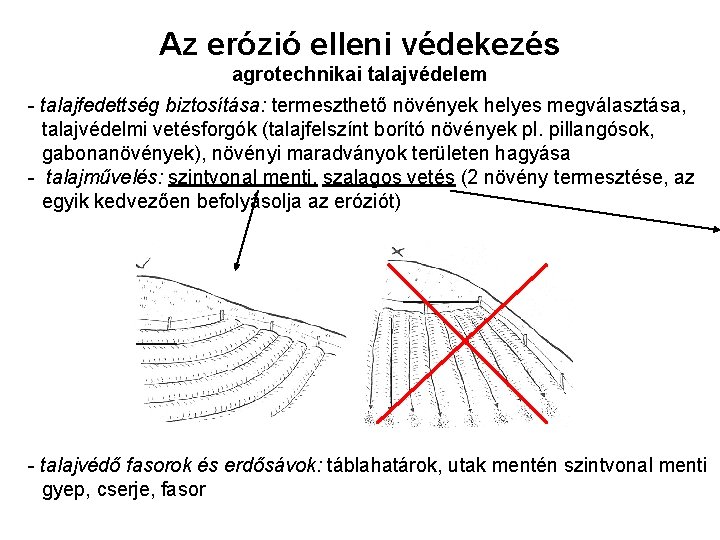 Az erózió elleni védekezés agrotechnikai talajvédelem - talajfedettség biztosítása: termeszthető növények helyes megválasztása, talajvédelmi