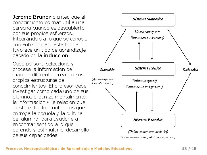 Jerome Bruner plantea que el conocimiento es más útil a una persona cuando es