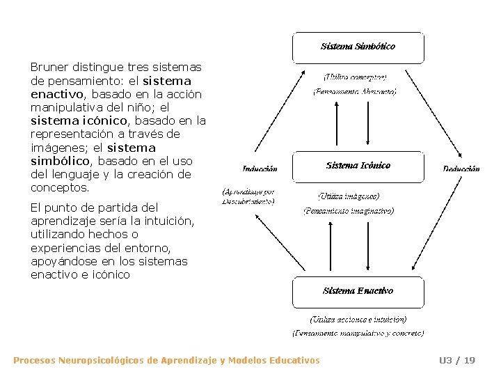 Bruner distingue tres sistemas de pensamiento: el sistema enactivo, basado en la acción manipulativa