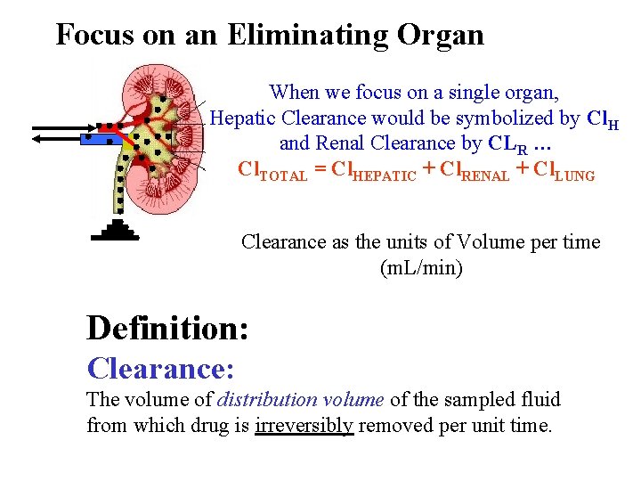 Focus on an Eliminating Organ When we focus on a single organ, Hepatic Clearance