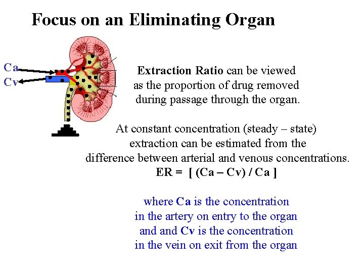 Focus on an Eliminating Organ Ca Cv Extraction Ratio can be viewed as the