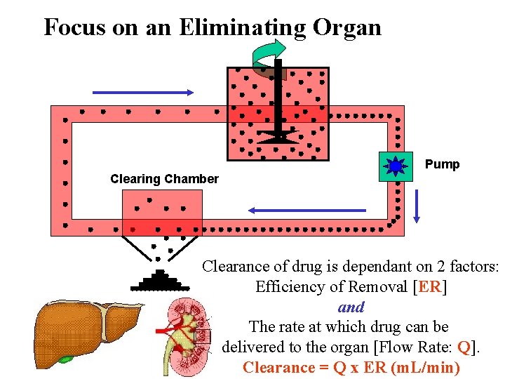 Focus on an Eliminating Organ Pump Clearing Chamber Clearance of drug is dependant on