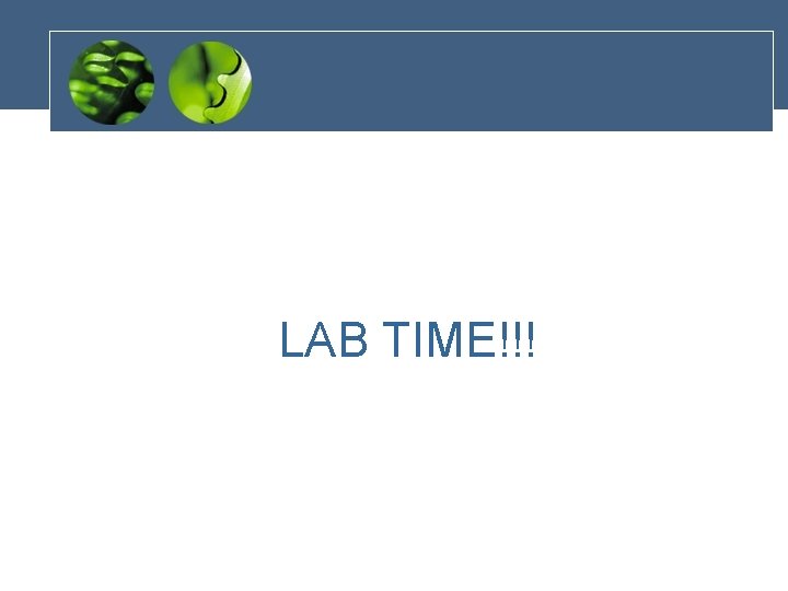 LAB TIME!!! 