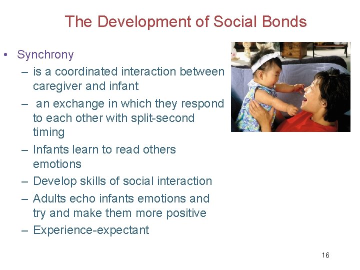 The Development of Social Bonds • Synchrony – is a coordinated interaction between caregiver
