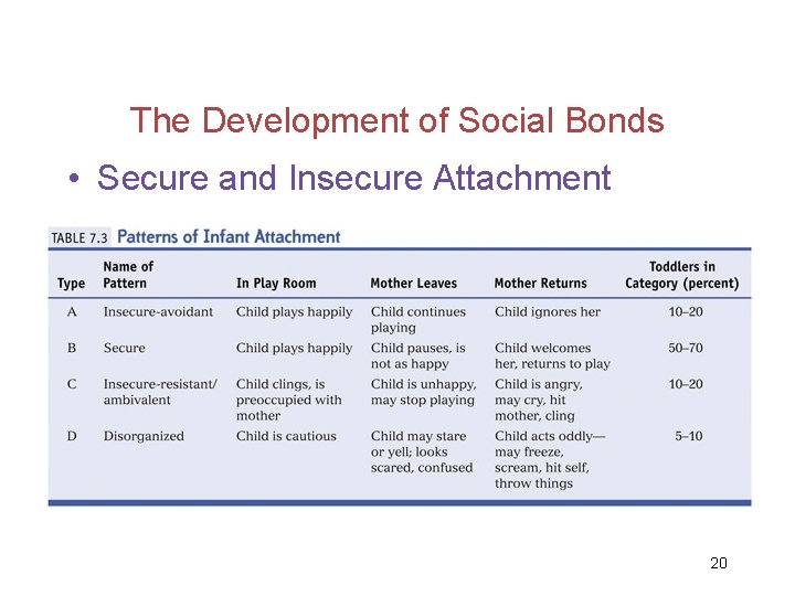 The Development of Social Bonds • Secure and Insecure Attachment 20 