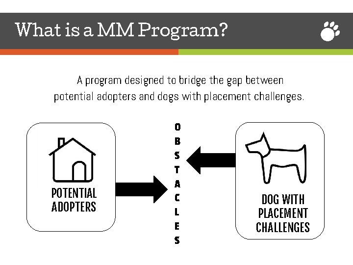 What is a MM Program? A program designed to bridge the gap between potential