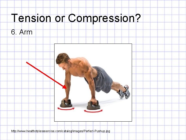 Tension or Compression? 6. Arm http: //www. healthstylesexercise. com/catalog/images/Perfect-Pushup. jpg 