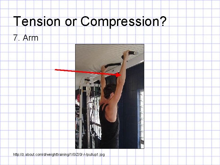 Tension or Compression? 7. Arm http: //z. about. com/d/weighttraining/1/0/Z/0/-/-/pullup 1. jpg 