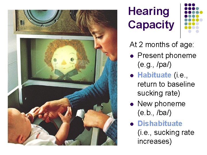 Hearing Capacity At 2 months of age: l Present phoneme (e. g. , /pa/)