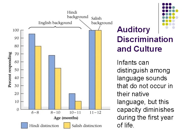 Auditory Discrimination and Culture Infants can distinguish among language sounds that do not occur