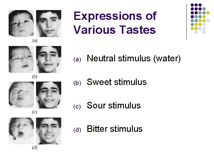 Expressions of Various Tastes (a) Neutral stimulus (water) (b) Sweet stimulus (c) Sour stimulus
