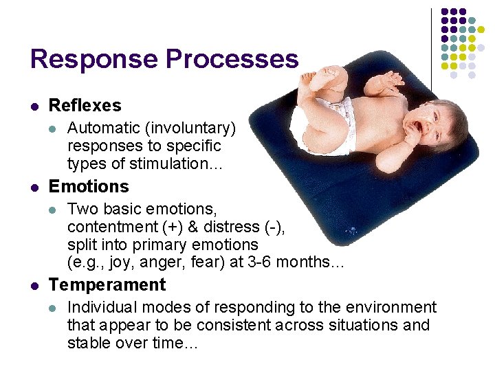 Response Processes l Reflexes l l Emotions l l Automatic (involuntary) responses to specific