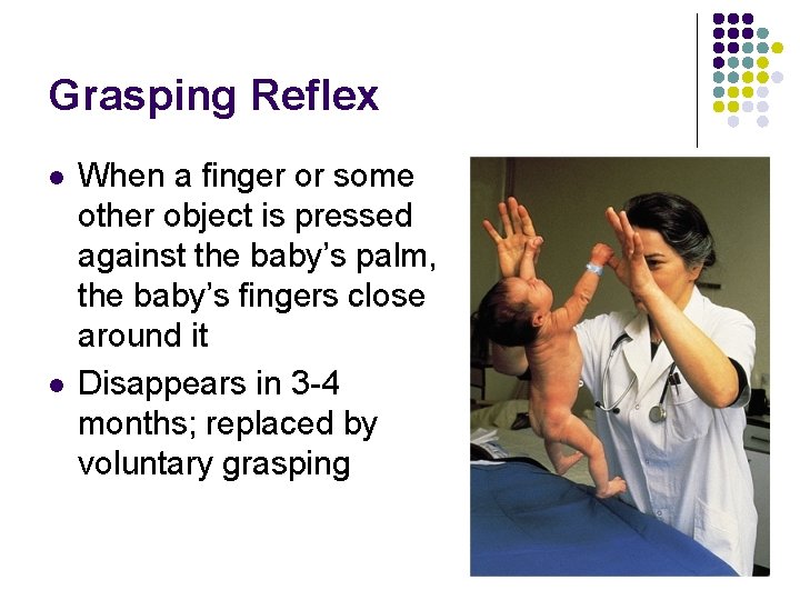 Grasping Reflex l l When a finger or some other object is pressed against