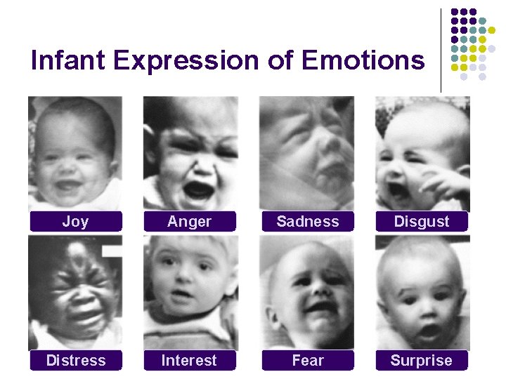 Infant Expression of Emotions Joy Anger Sadness Disgust Distress Interest Fear Surprise 
