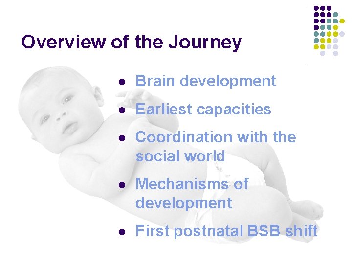Overview of the Journey l Brain development l Earliest capacities l Coordination with the