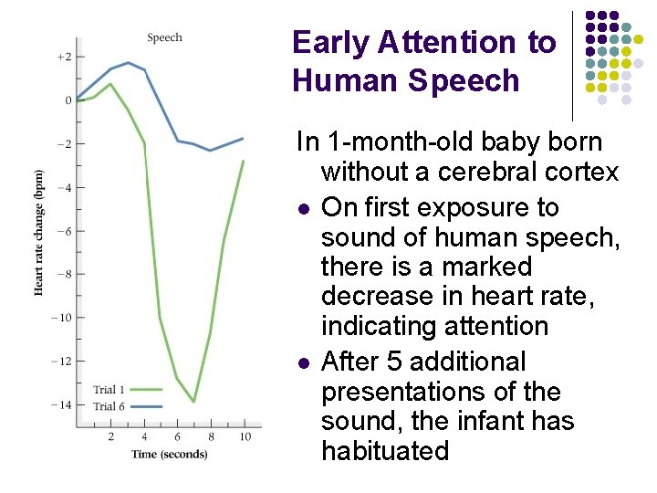 Early Attention to Human Speech In 1 -month-old baby born without a cerebral cortex