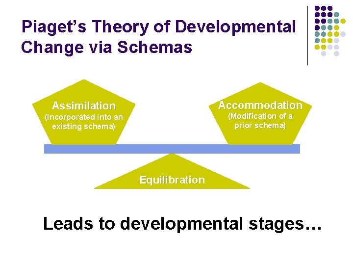 Piaget’s Theory of Developmental Change via Schemas Accommodation Assimilation (Modification of a prior schema)