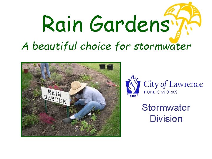 Rain Gardens A beautiful choice for stormwater Stormwater Division 