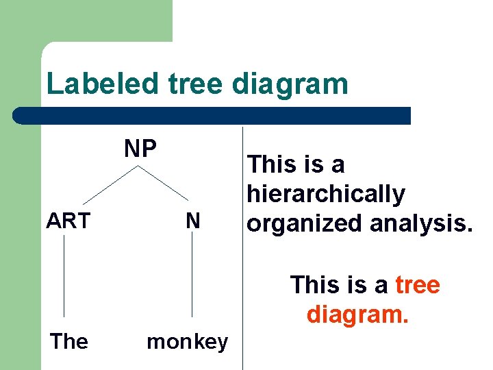 Labeled tree diagram NP ART N This is a hierarchically organized analysis. This is