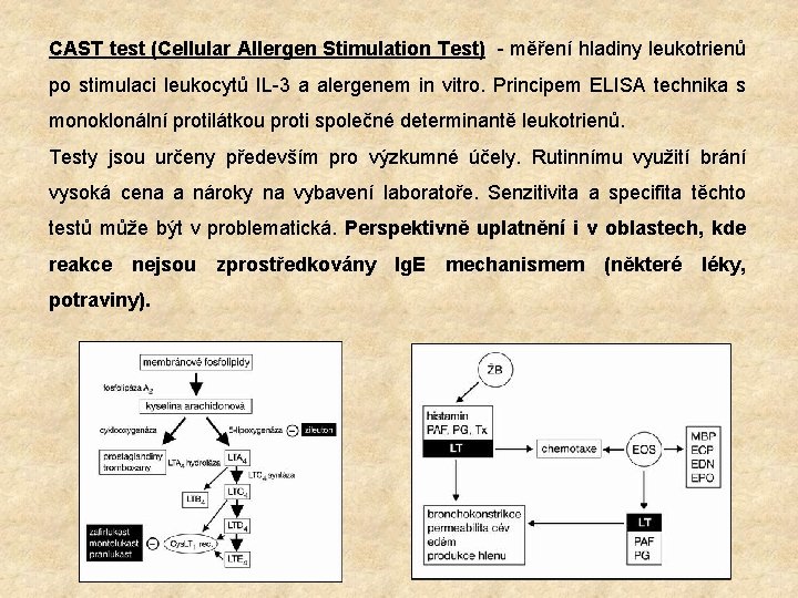 CAST test (Cellular Allergen Stimulation Test) - měření hladiny leukotrienů po stimulaci leukocytů IL-3