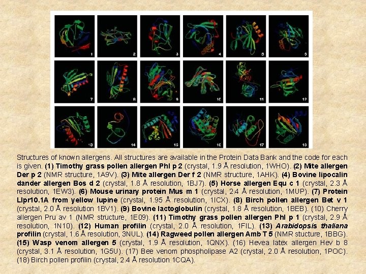 Structures of known allergens. All structures are available in the Protein Data Bank and