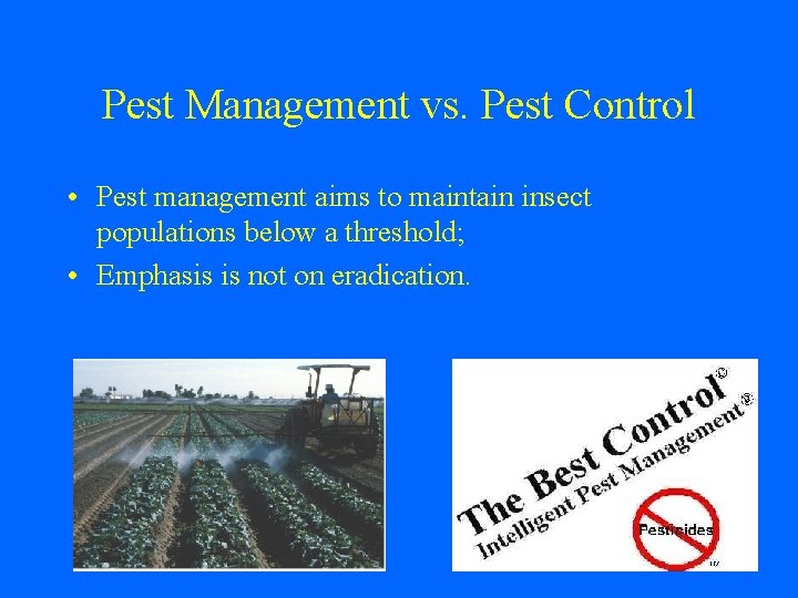 Pest Management vs. Pest Control • Pest management aims to maintain insect populations below