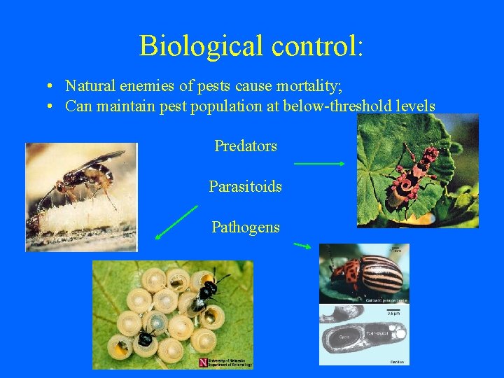 Biological control: • Natural enemies of pests cause mortality; • Can maintain pest population