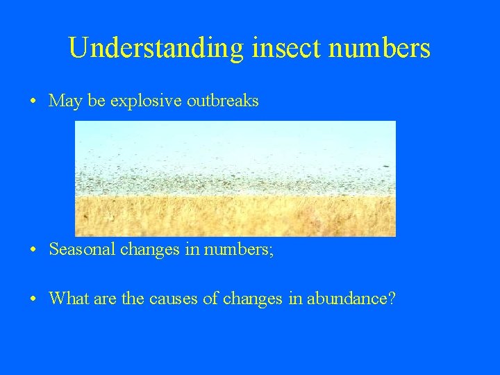 Understanding insect numbers • May be explosive outbreaks • Seasonal changes in numbers; •